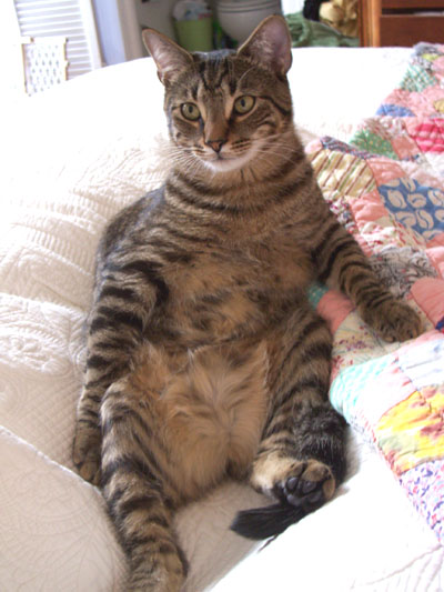 sitting.jpg